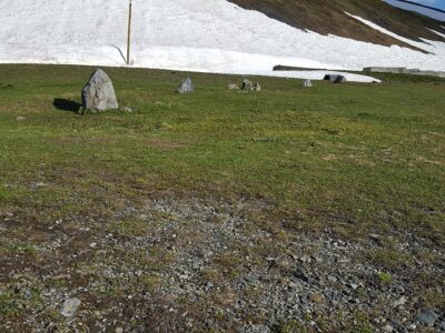 Cromlech al colle del Piccolo San Bernardo