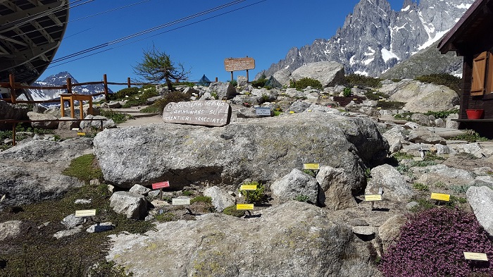 Giardino botanico alpino Saussurea