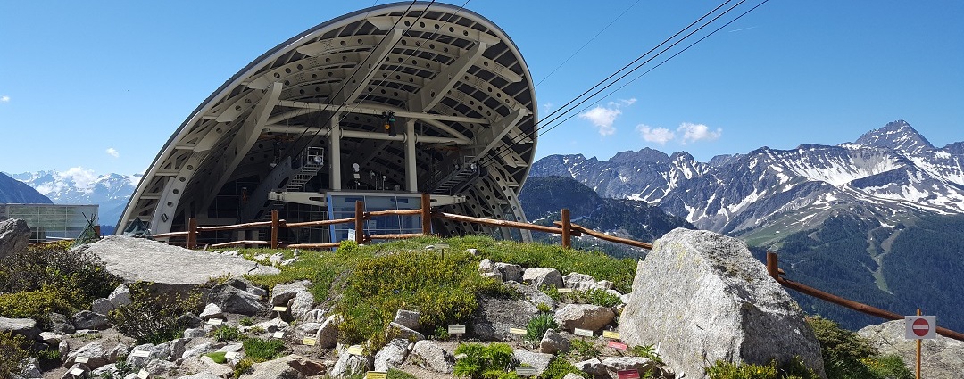 Giardino Botanico Alpino Saussurea, il giardino più alto d&rsquo;Europa